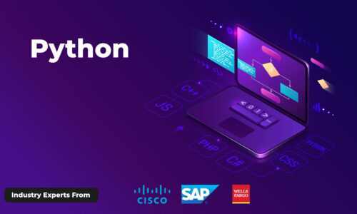 Python Training Course In Lucknow