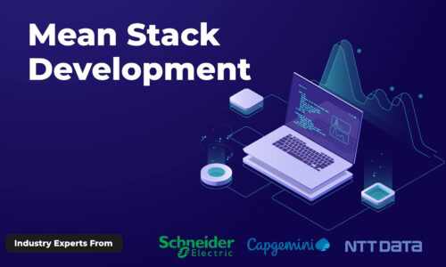 Mean Stack Development