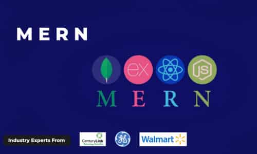 MERN Full Stack Developer Course