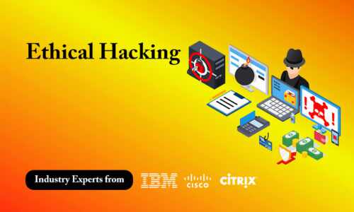 Ethical Hacking