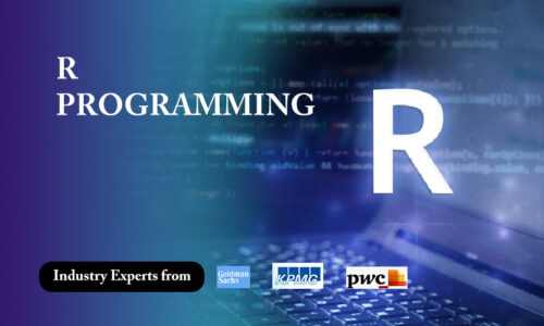 R PROGRAMMING