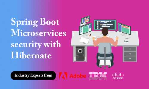 SPRING BOOT & MICROSERVICES SECURITY WITH HIBERNATE