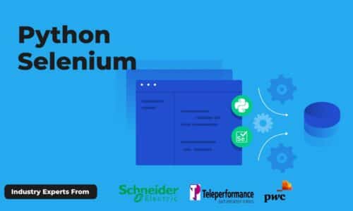 Selenium with Python Training